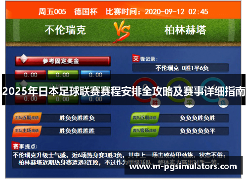 2025年日本足球联赛赛程安排全攻略及赛事详细指南