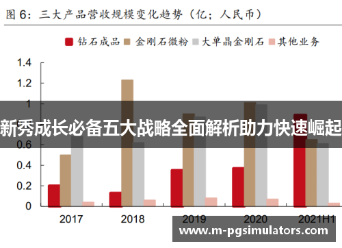 新秀成长必备五大战略全面解析助力快速崛起