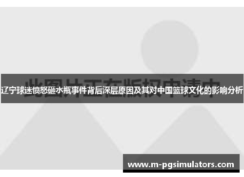 辽宁球迷愤怒砸水瓶事件背后深层原因及其对中国篮球文化的影响分析