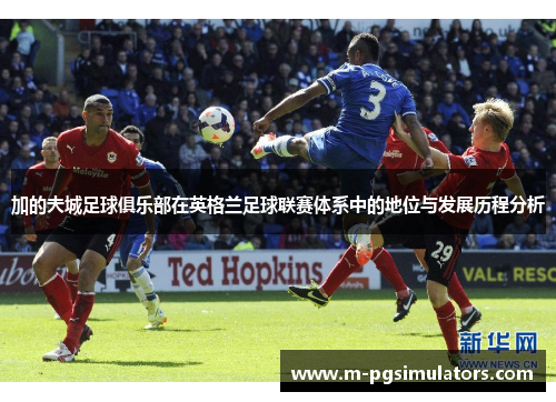 加的夫城足球俱乐部在英格兰足球联赛体系中的地位与发展历程分析